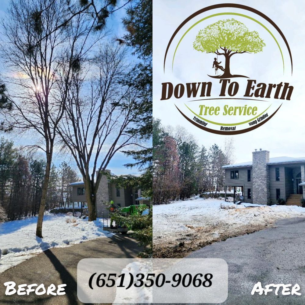 Before and after photo of tree removal by Down To Earth Tree Service. Snowy landscape, tree removal, house.