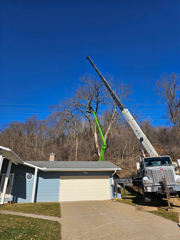 A tree being trimmed by a worker in a green lift, assisted by a large crane, near a blue house.