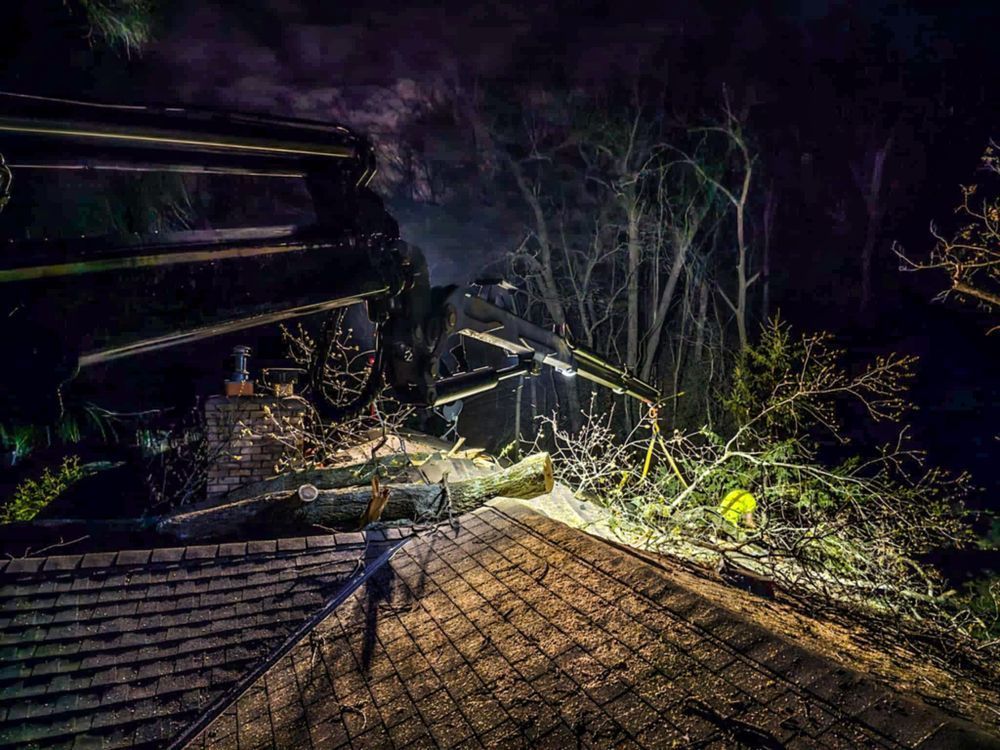 Severe Weather Damage With Fallen Tree
