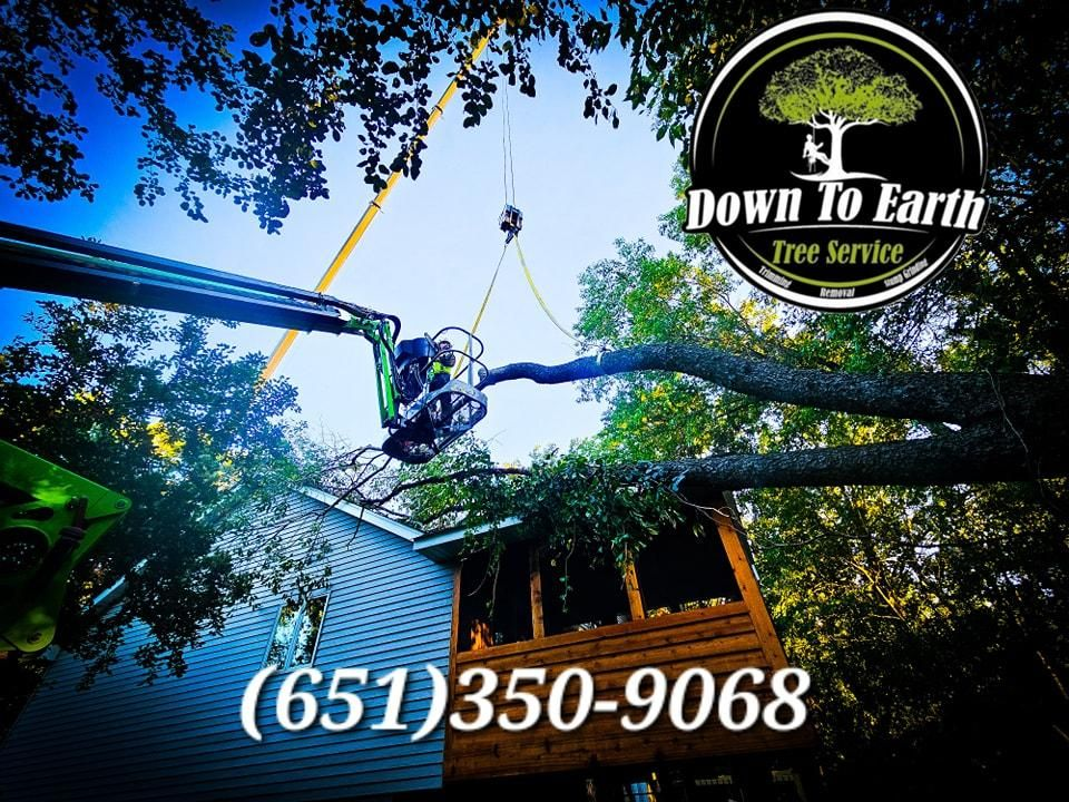 Down To Earth Tree Service Advertisement
