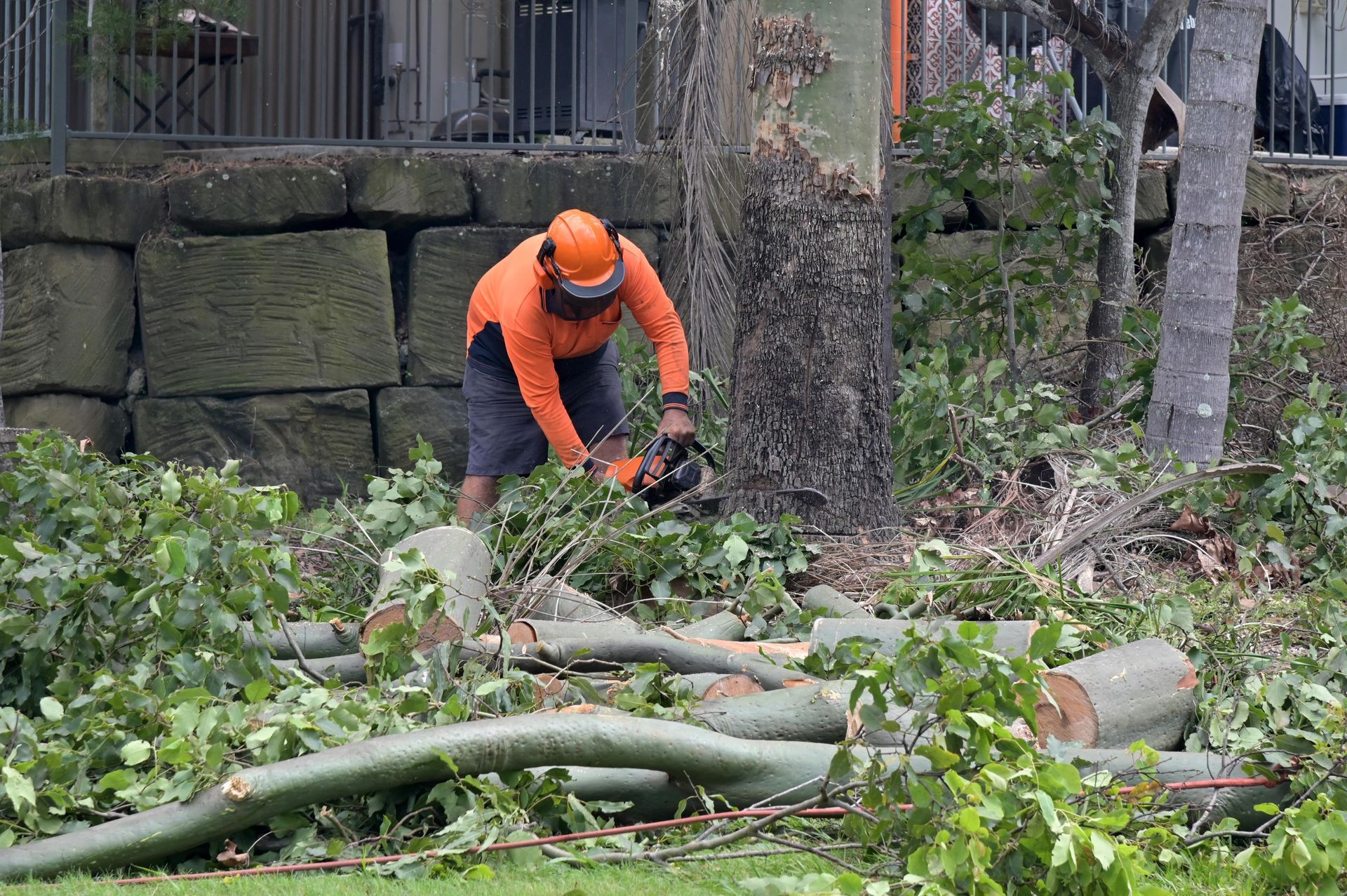 Professional arborist performing tree removal service, cutting tree trunks safely on site.