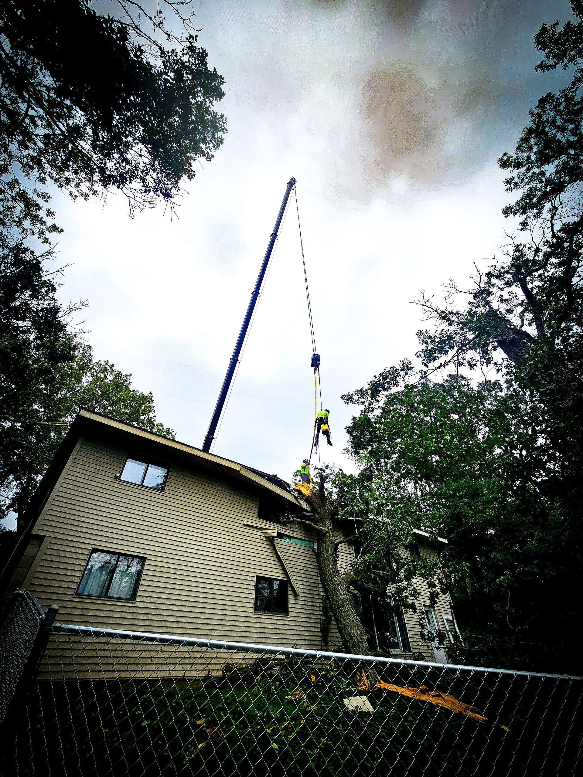Crane lifting on house roof surrounded by trees and a chain-link fence.