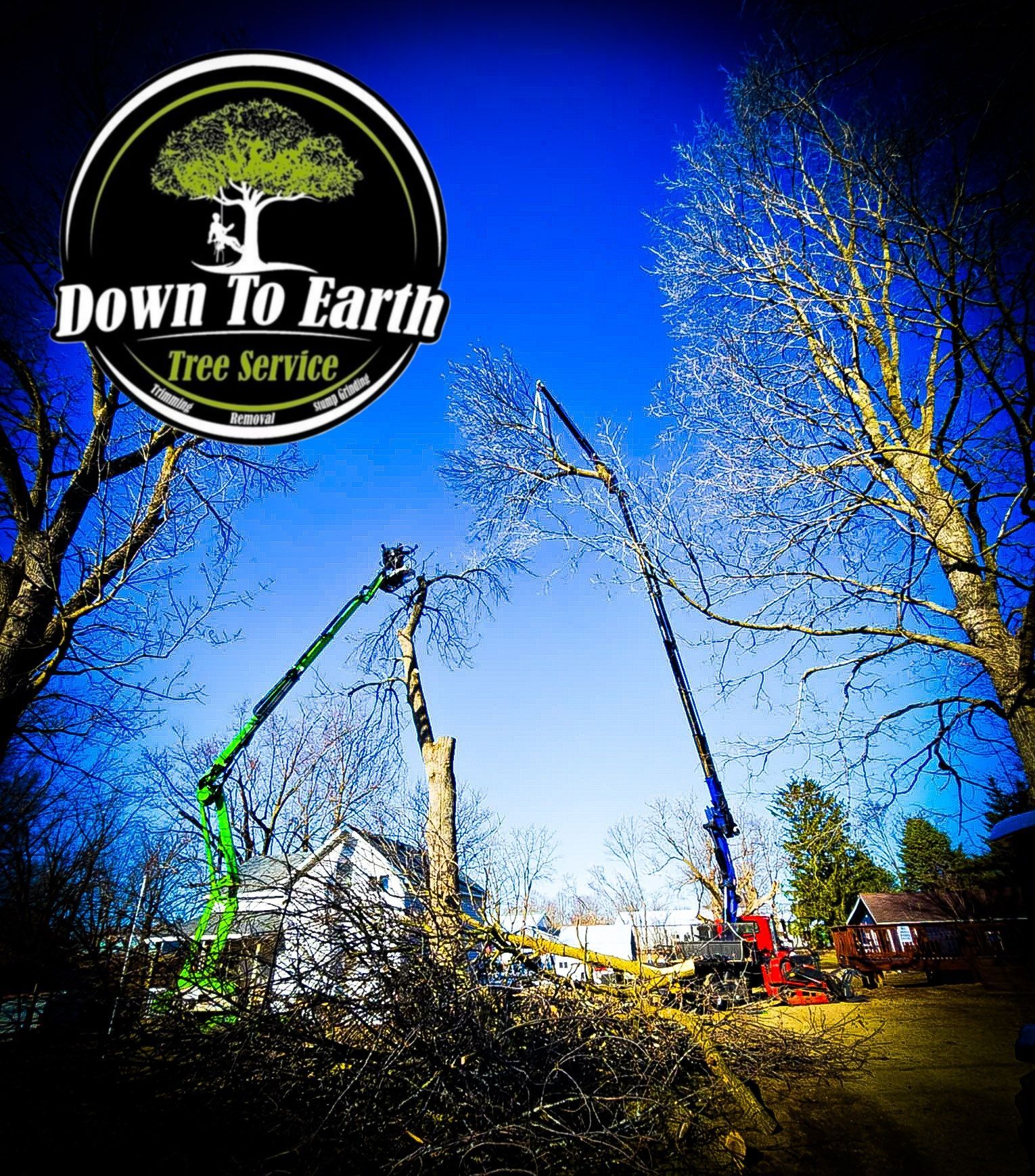 Down To Earth Tree Service logo with two boom lifts trimming trees, set against a dark blue sky.