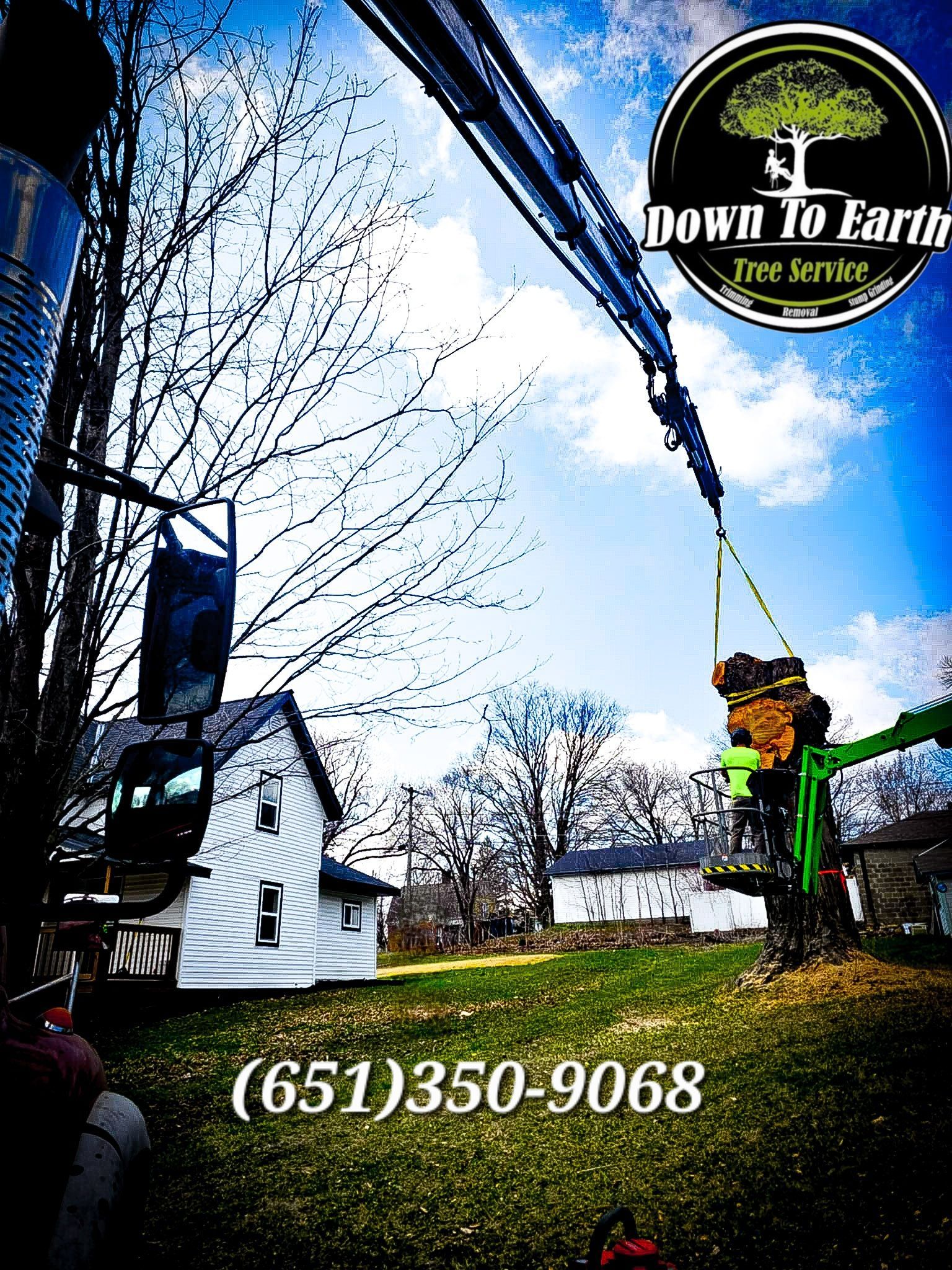 Tree service removing tree branches, with house and yard in background. Contact info: (651)350-9068.