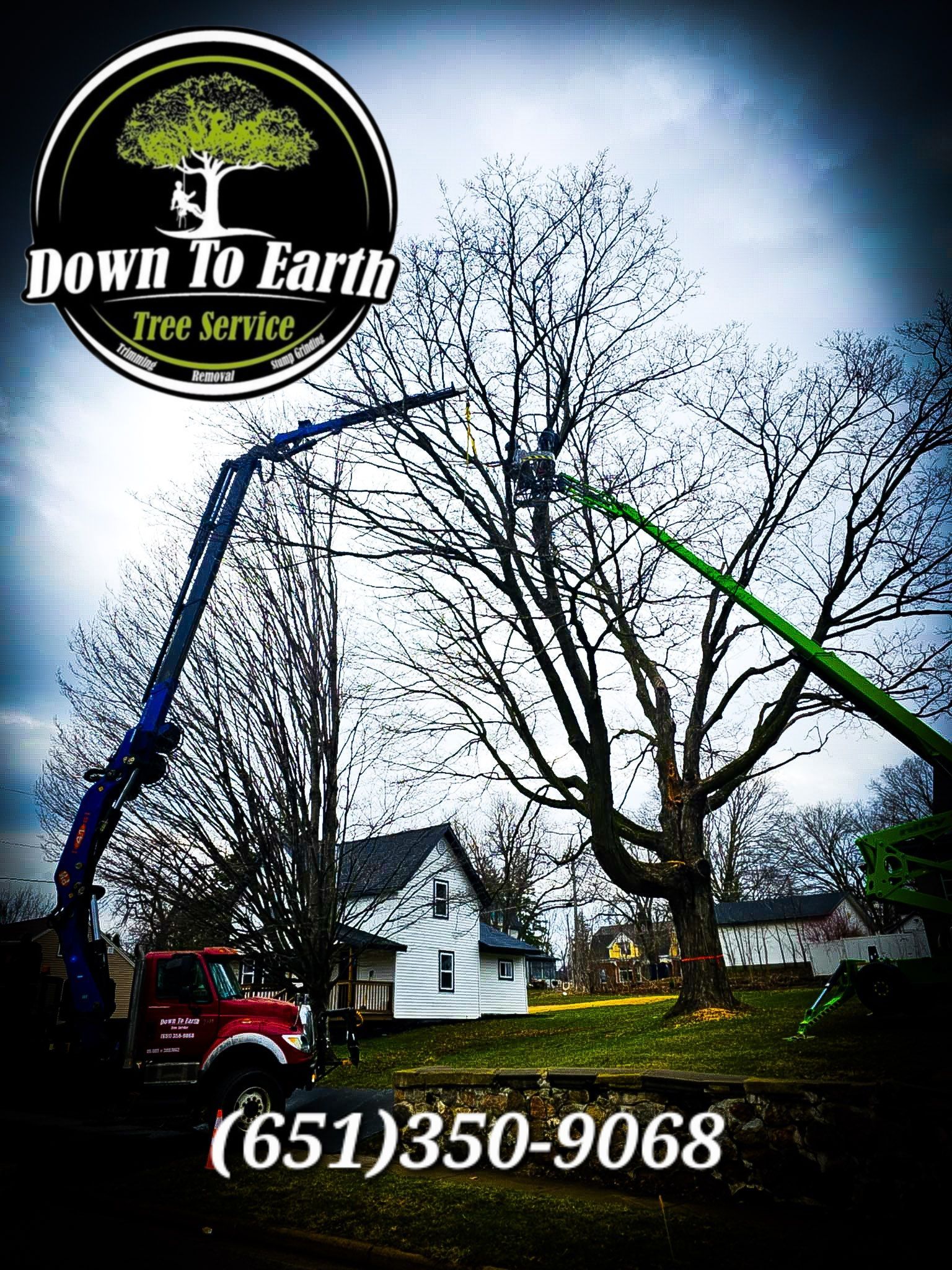 Tree service in action with a logo and phone number. Two boom trucks trimming a tree.