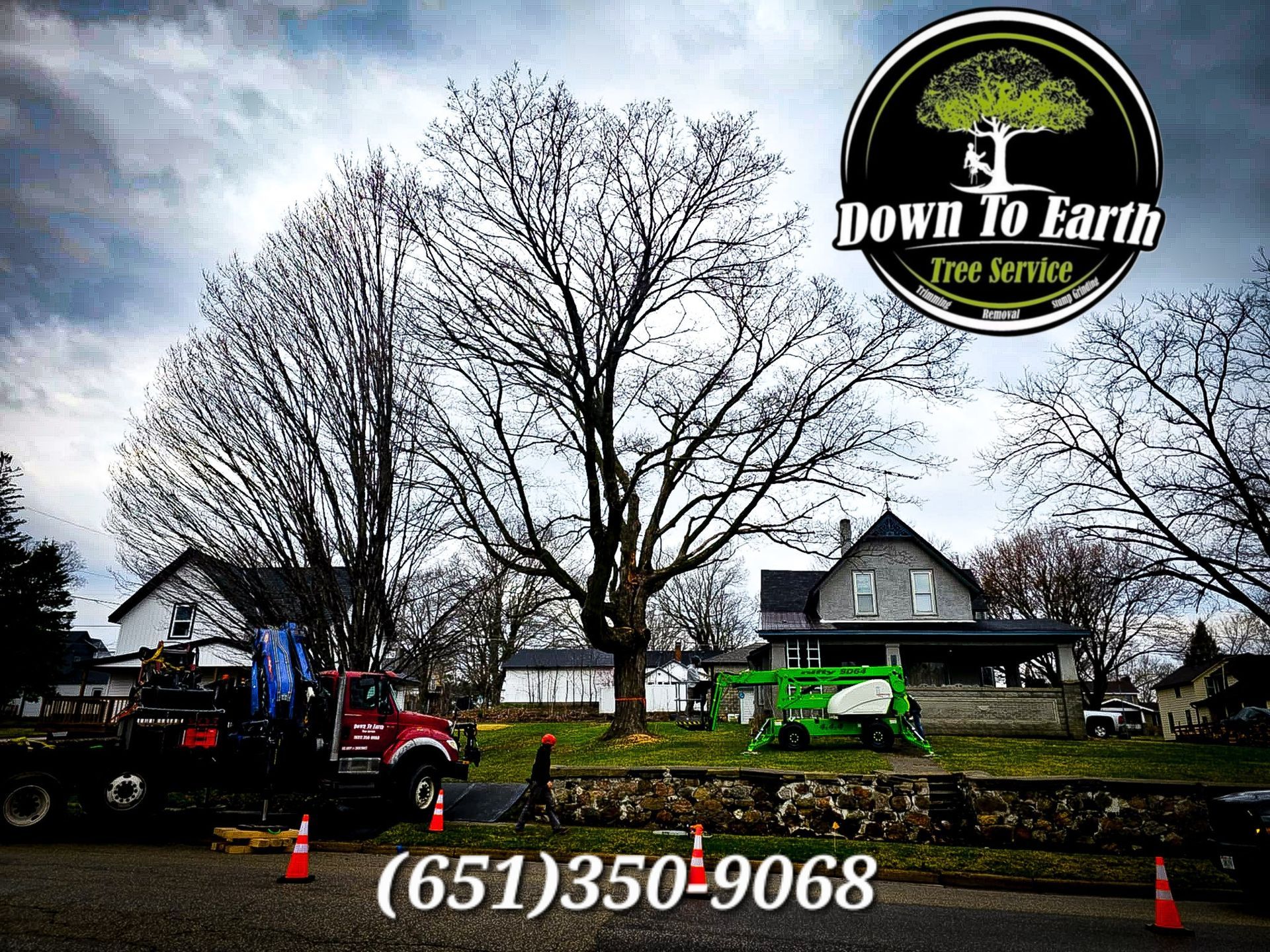 Down To Earth Tree Service truck and equipment in front of houses with a large tree. Phone number (651)350-9068.