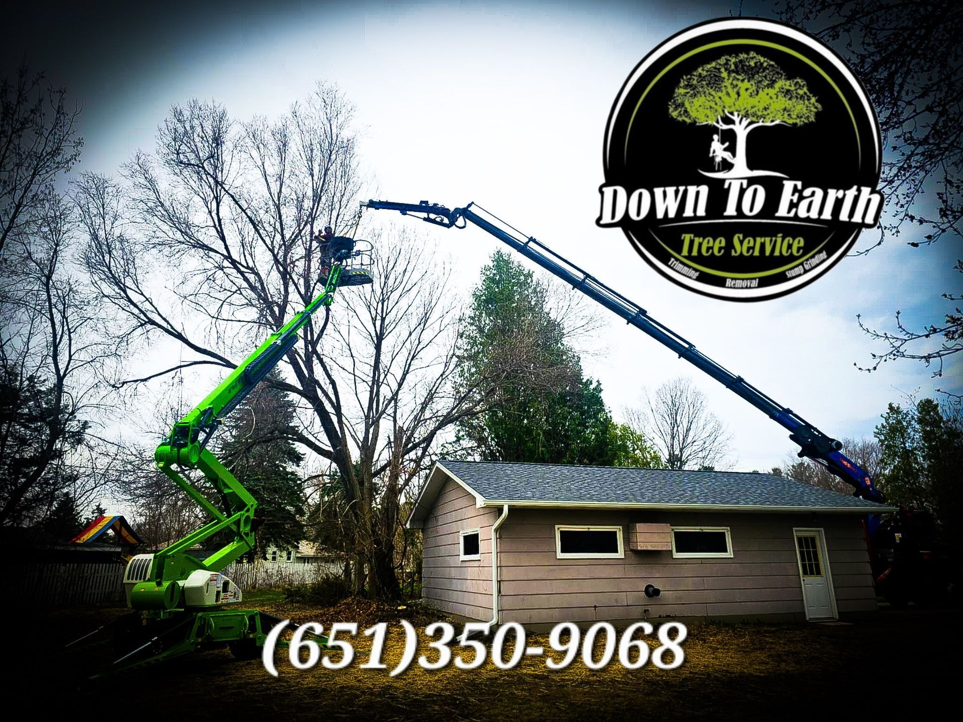 Green tree service truck reaching a tree near a small building; company logo, phone number visible.