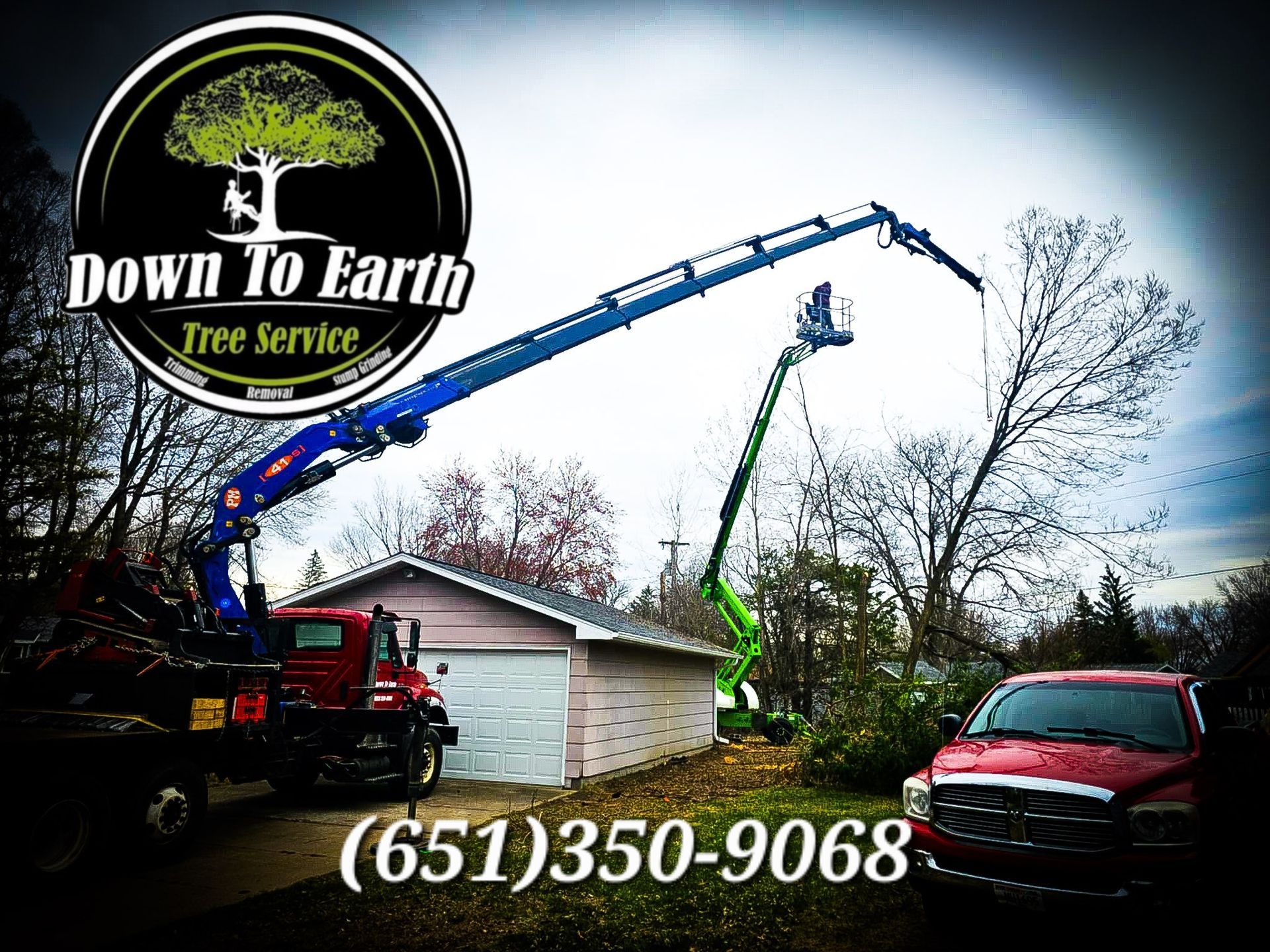 Down To Earth Tree Service trucks trimming a tree. Phone number (651)350-9068.