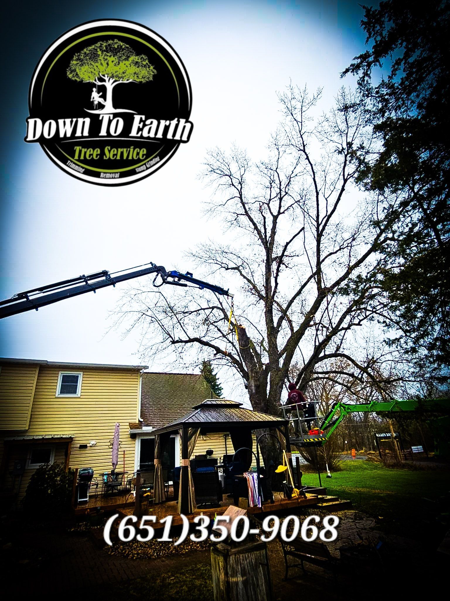 Down to Earth Tree Service logo with tree trimming in progress, (651)350-9068 phone number.