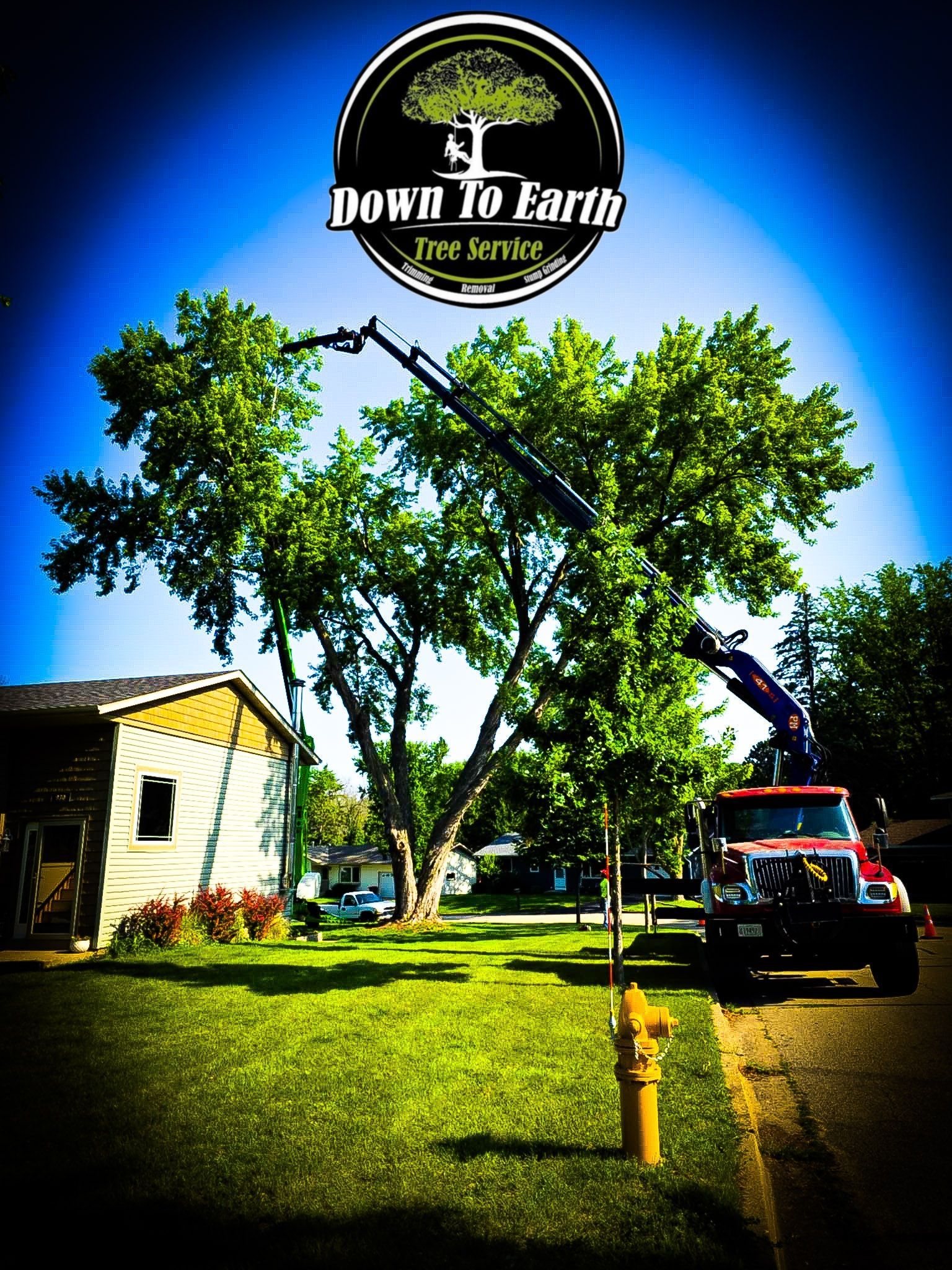 Truck with crane trimming a large tree in front of a house, Down to Earth Tree Service logo in the sky.