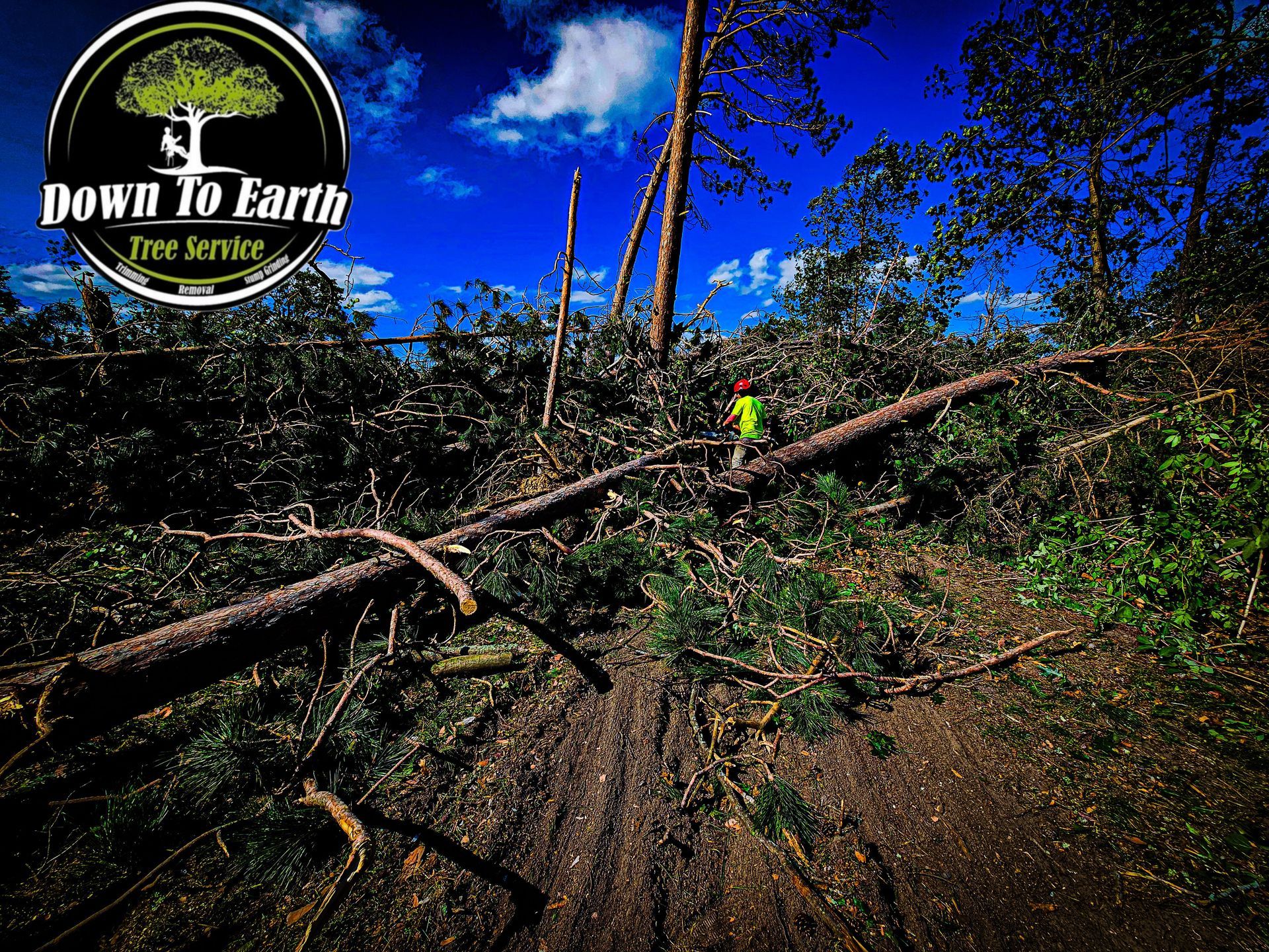 Down to Earth Tree Service logo with tree debris and a worker in an open area. Blue sky visible.