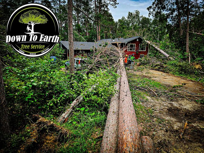 Fallen tree and debris near a red house in a wooded area.  