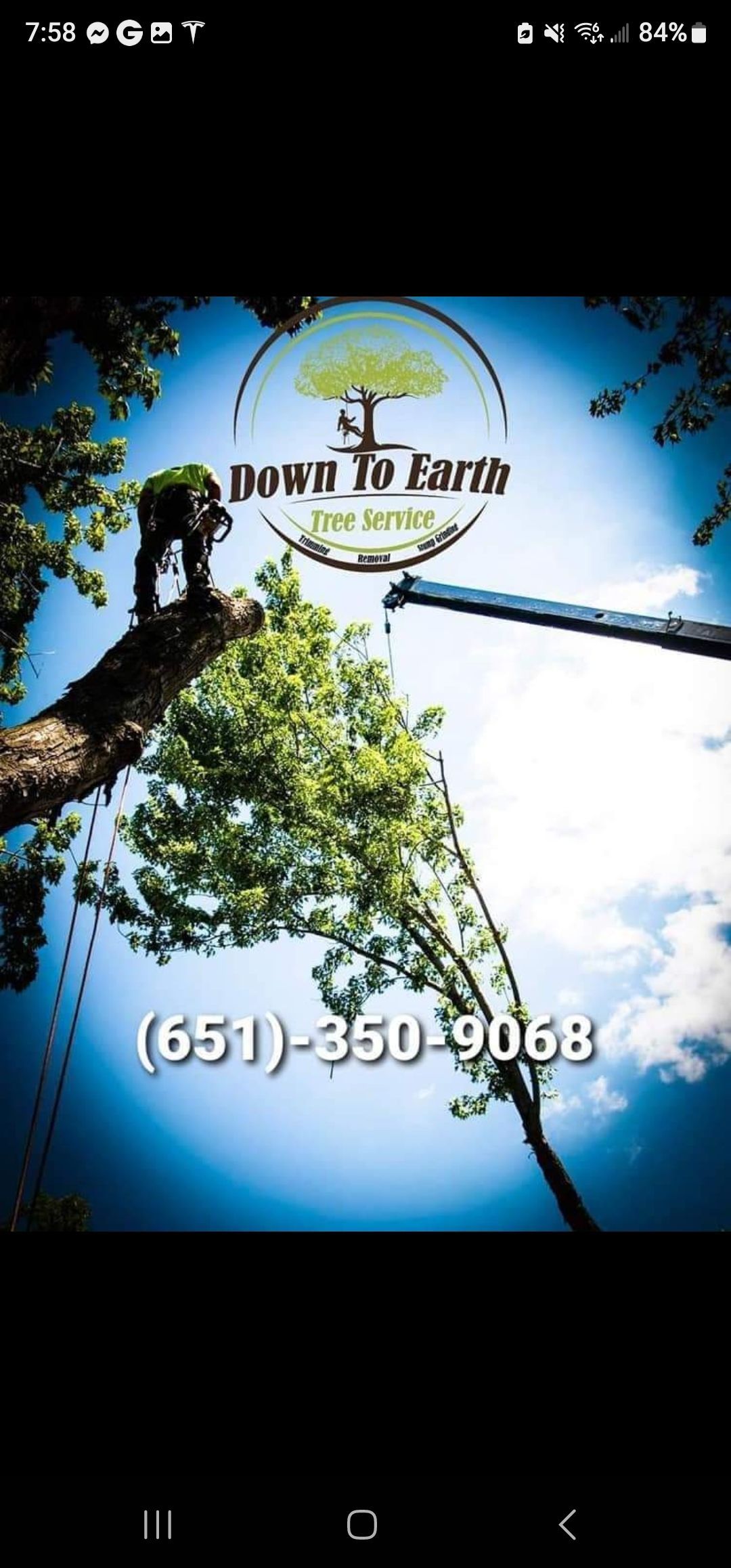 Tree service advertisement with logo, worker in tree, phone number.