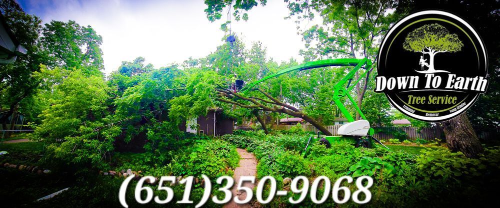 Down to Earth tree service with a green boom truck trimming a large tree, (651)350-9068.
