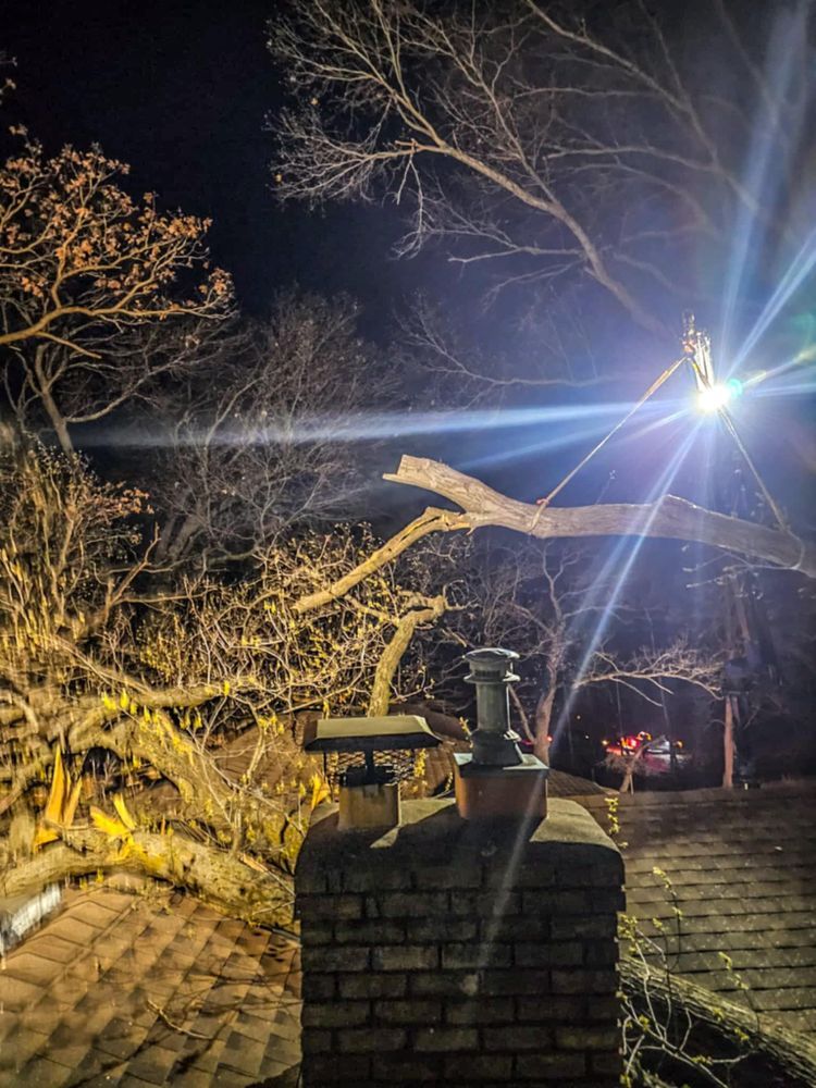 Chimney on a rooftop with tree branches lit by bright light at night.