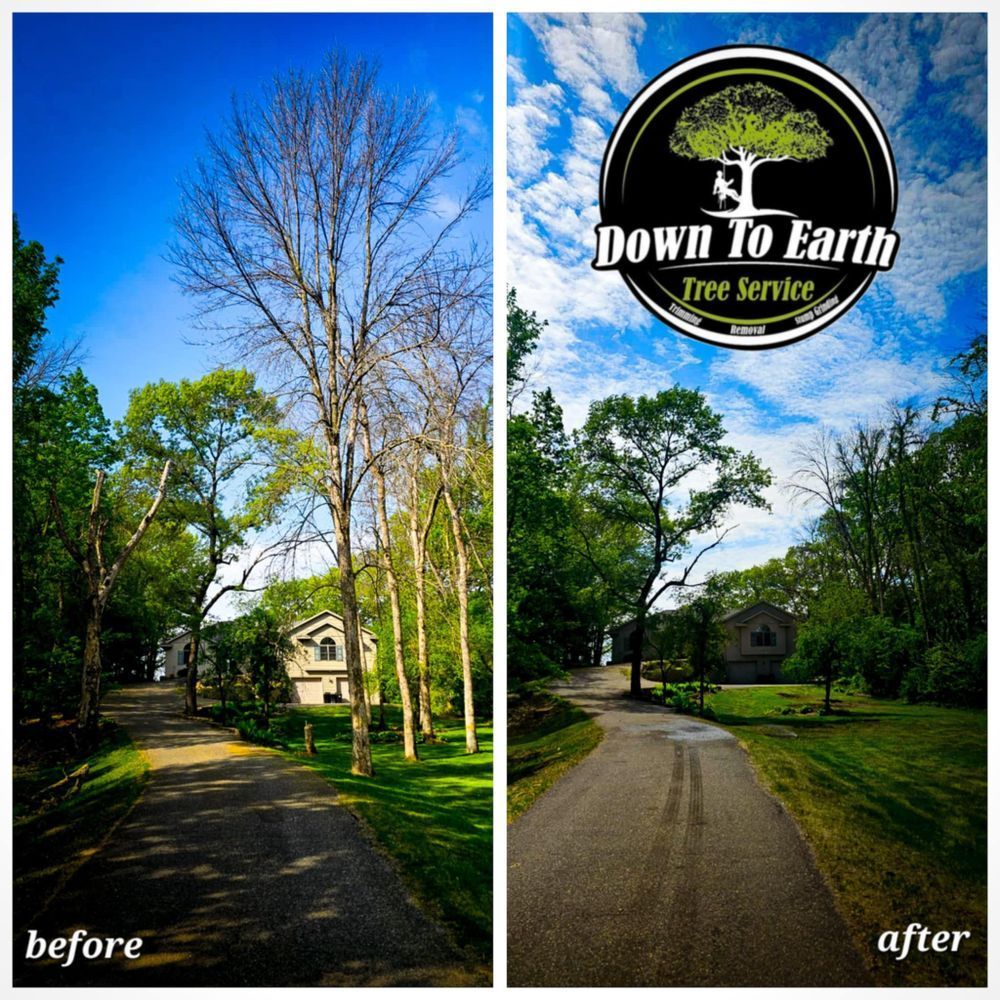 Before-and-after of tree trimming. A dying tree removed to reveal a driveway, house, and green lawn.