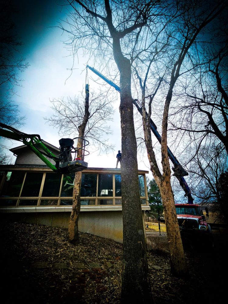 Tree removal in progress near a house. Workers in lifts trim bare trees; a truck is in the background.