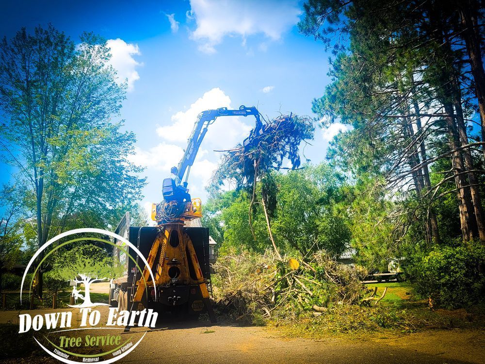 A tree service machine removing branches under a blue sky. Down to Earth Tree Service logo.