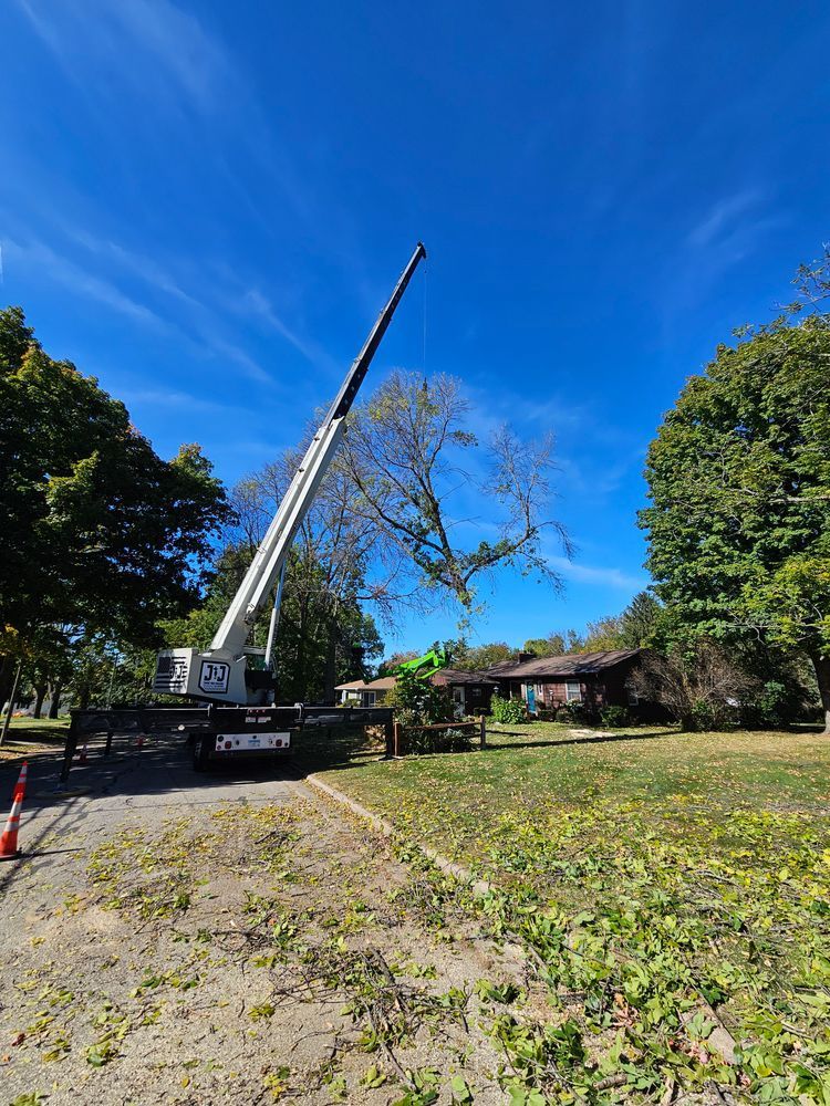 Crane Lifting Tree Section