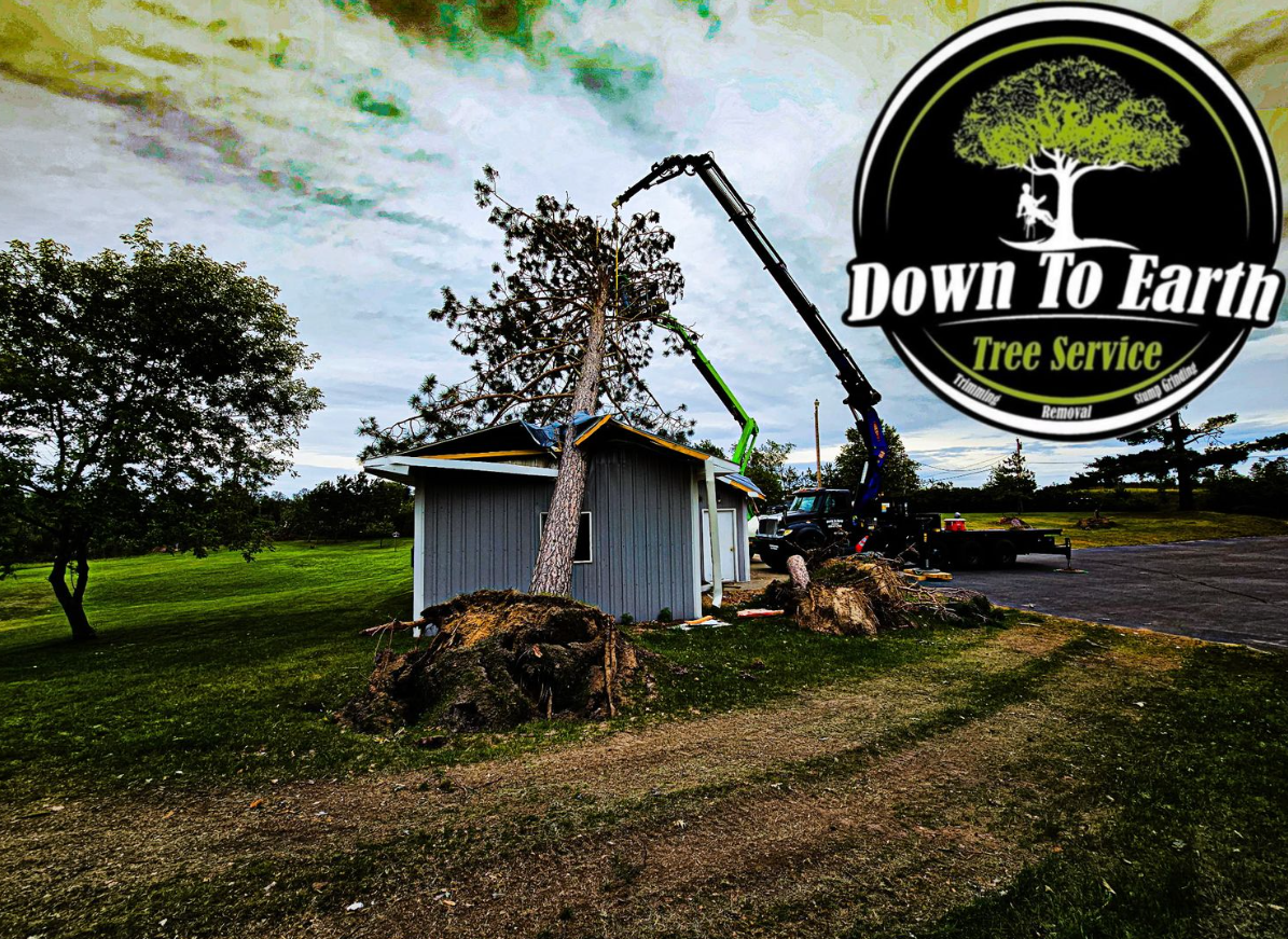 Tree service removing a tree from a small building. Logo 
