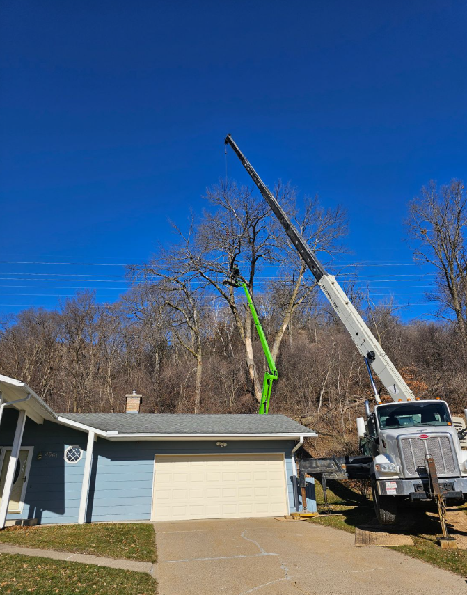 A tree being trimmed by a green lift and a crane in front of a blue house and garage, clear blue sky.