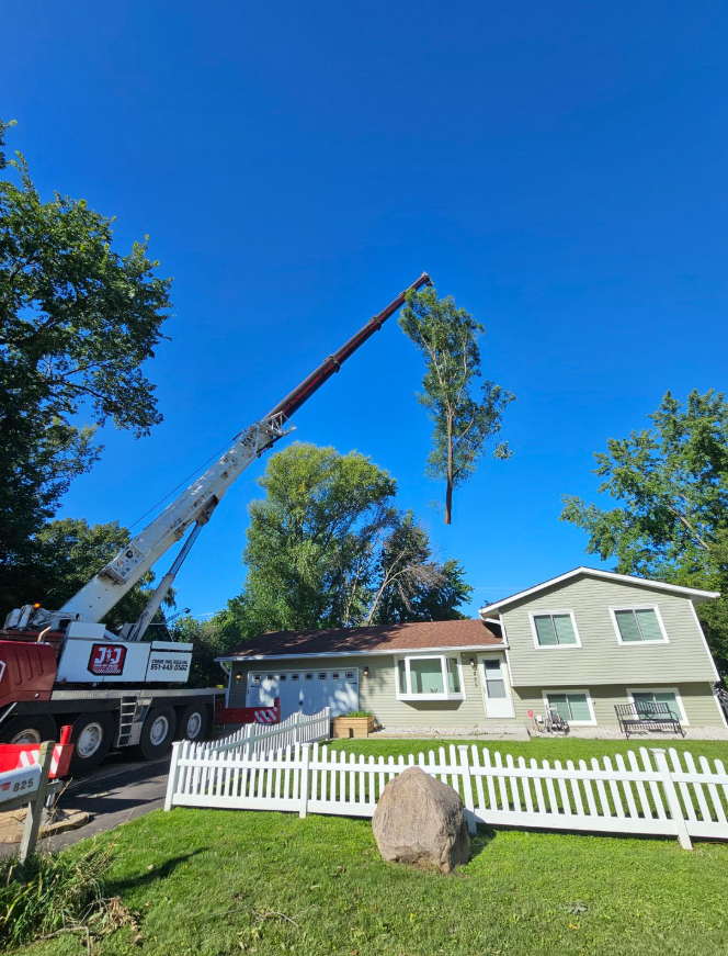 A crane lifting a tree branch away from a two-story house with a white picket fence under a bright blue sky.