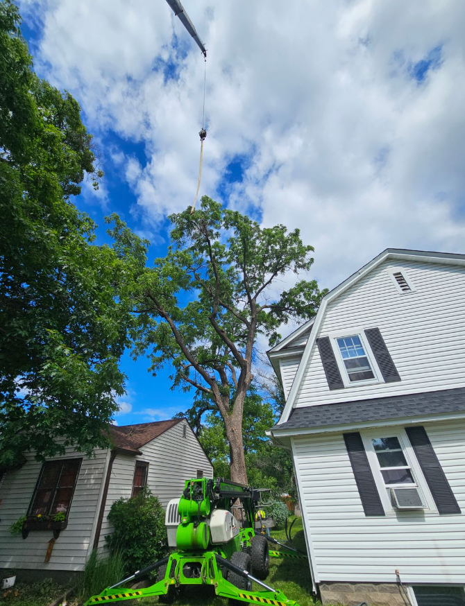 A crane lifting a tree branch, near houses, with a green lift in foreground. Sunny, cloudy sky.