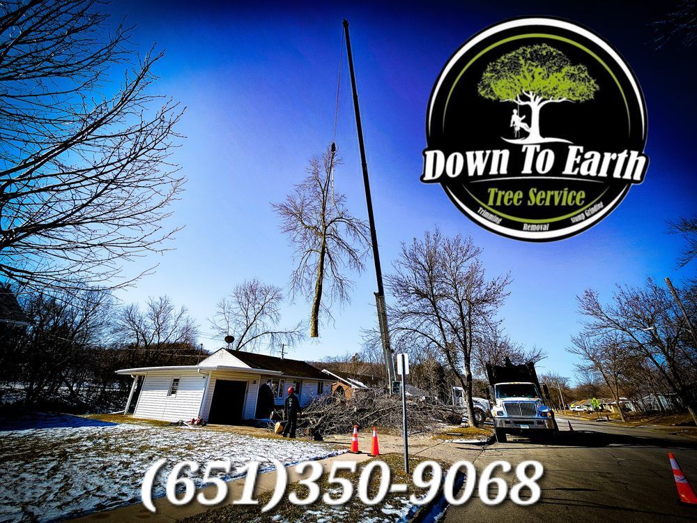 A tree being removed near a house by