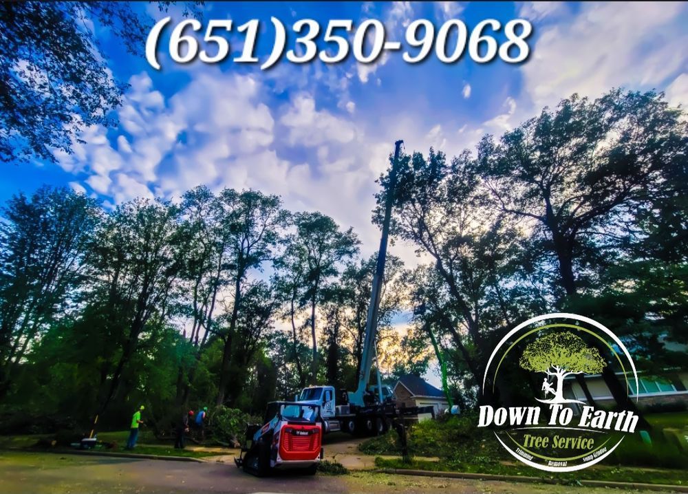 Tree removal service with equipment, worker, house, trees, and phone number (651) 350-9068 under a cloudy sky.