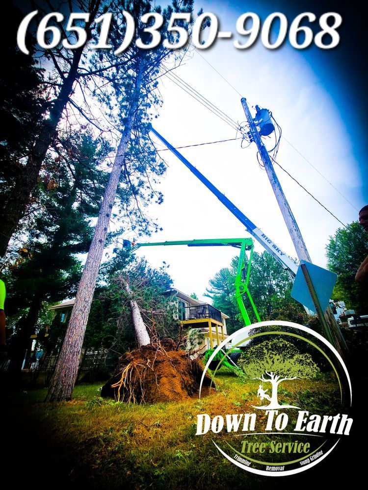 Tree service with phone number and logo; removing a fallen tree near power lines with machinery.