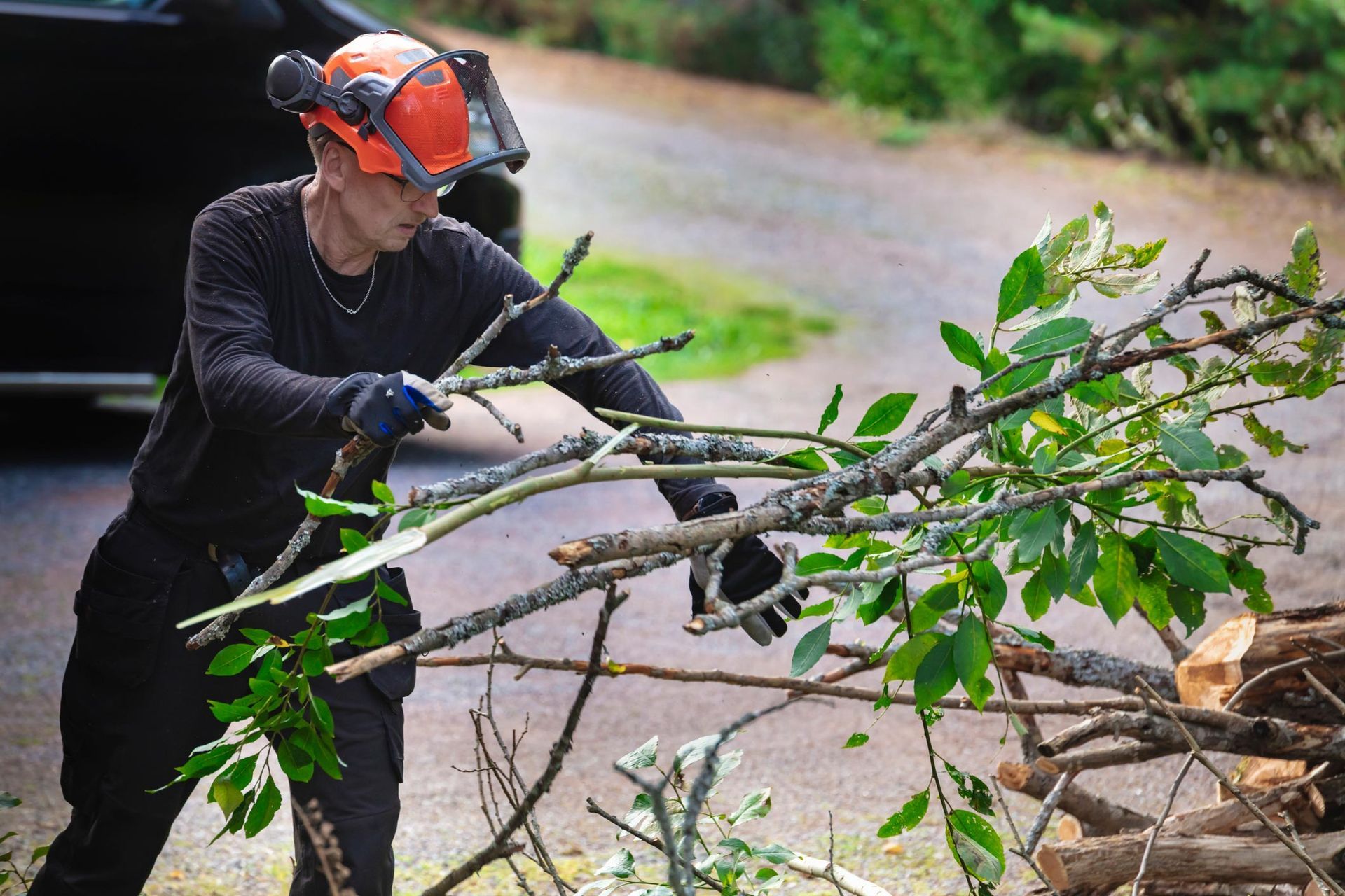 A male arborist cuts tree branches and handles them to the side.