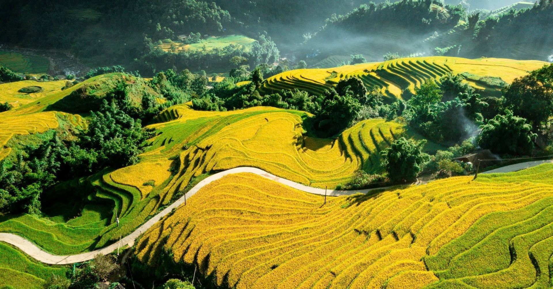 Sapa Weather in October: Temps, Rain & Harvest Timing