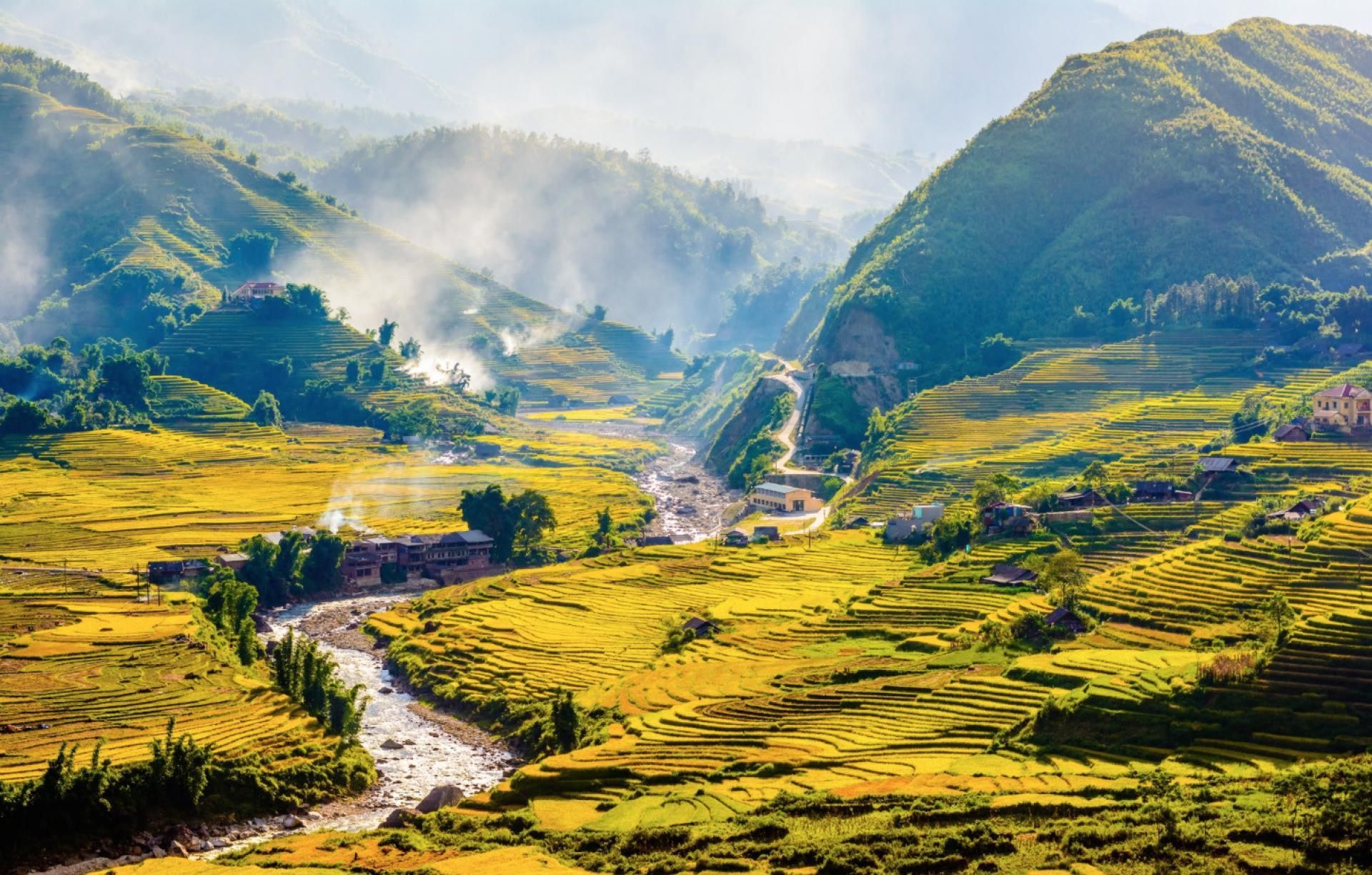 Muong Hoa Valley and Terraced Rice Fields