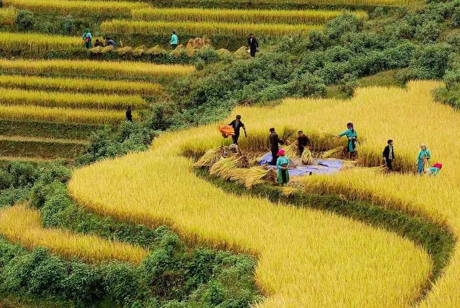 Sapa Weather October