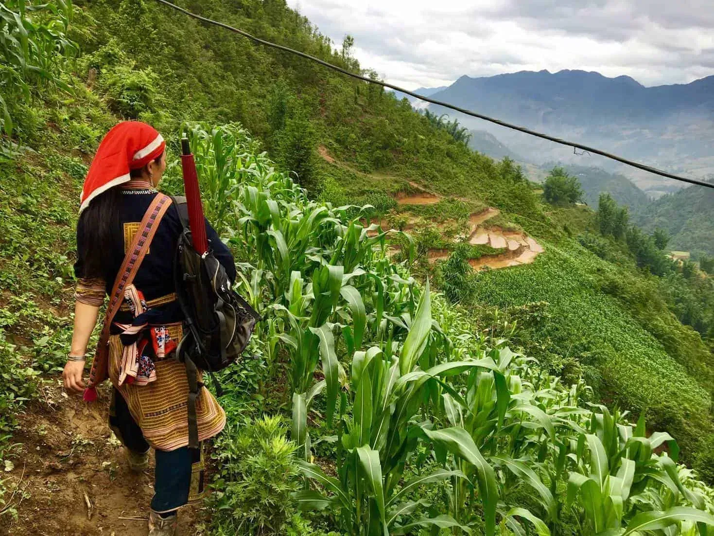 Real Sapa Experience 01 Day Trekking | Start & End in Sapa 1