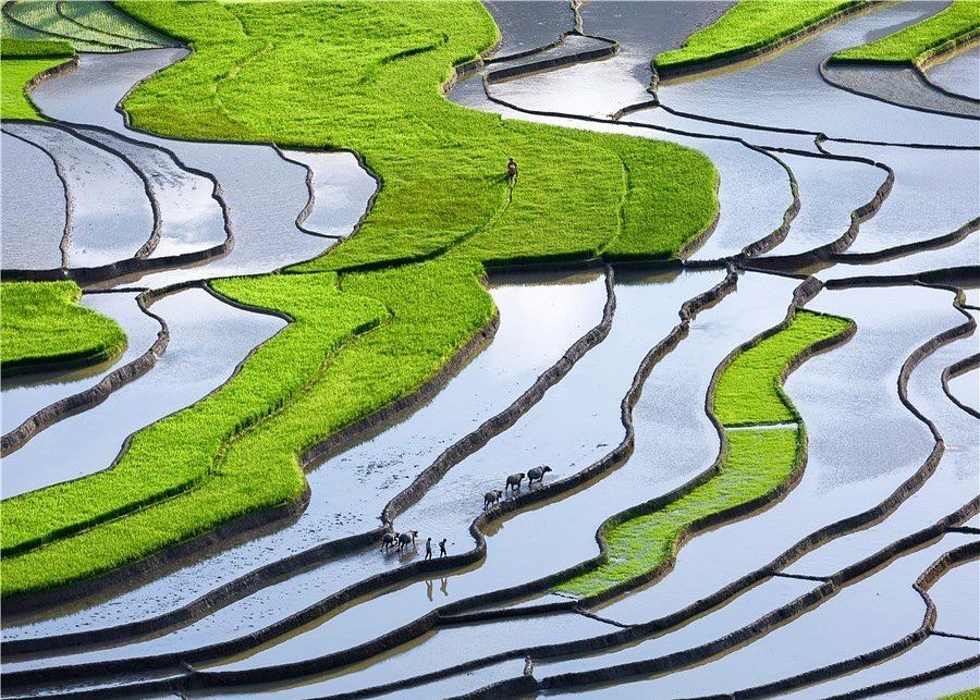 Sapa Weather in May: Temps, Rain, Humidity & Travel Tips