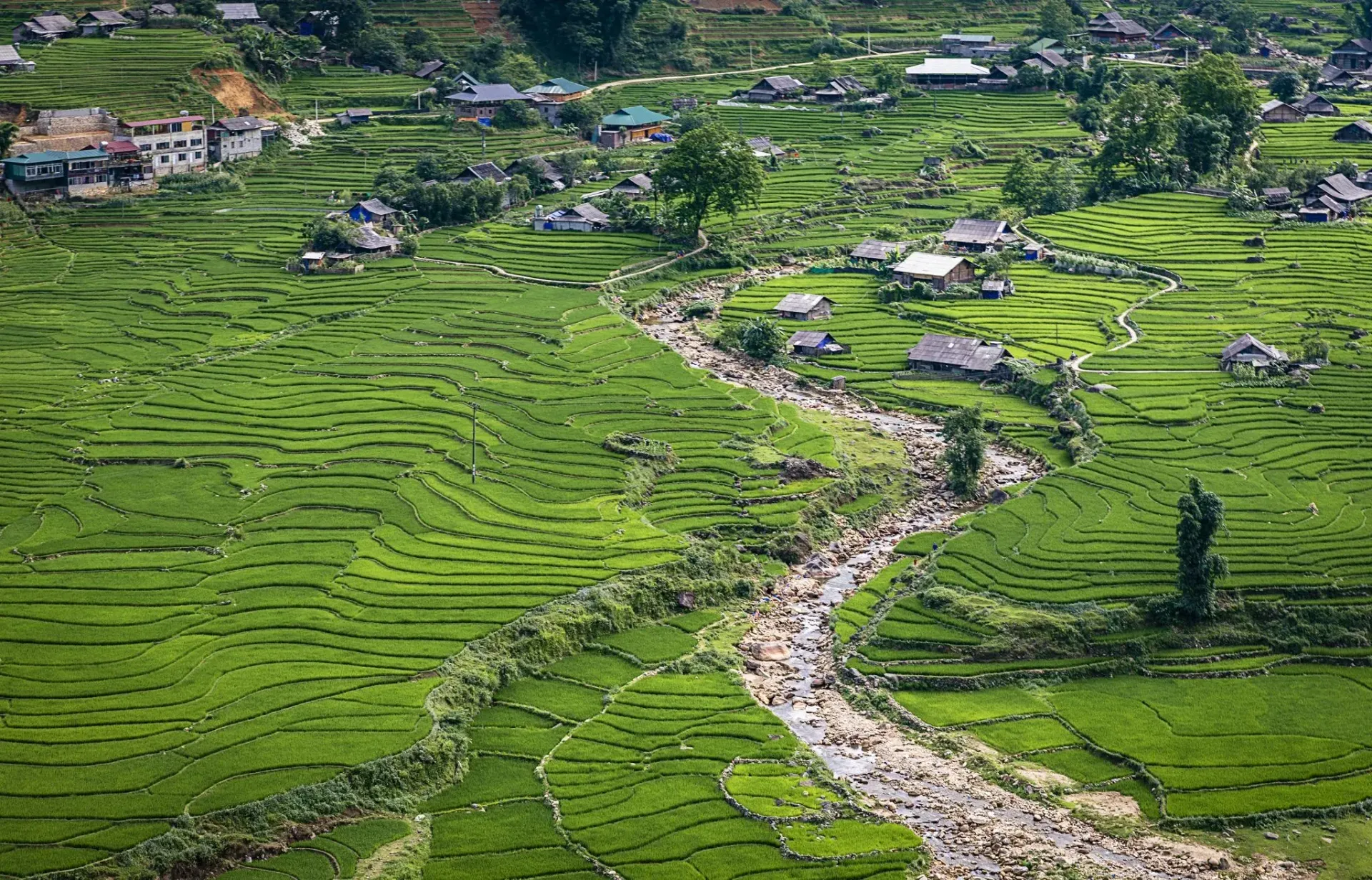 Muong Hoa Valley Summer (May – July)