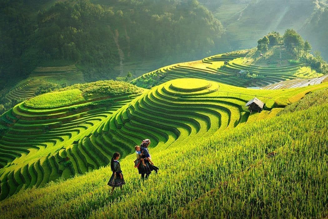 Sapa Weather in August: Temps, Rain, Humidity & Storm-Smart Tips