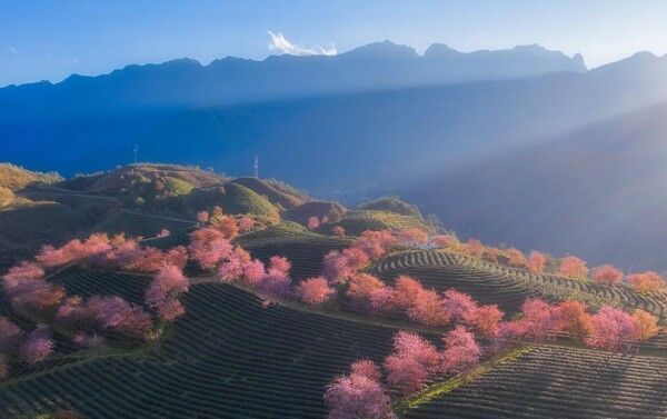 Itineraries 2D sapa june