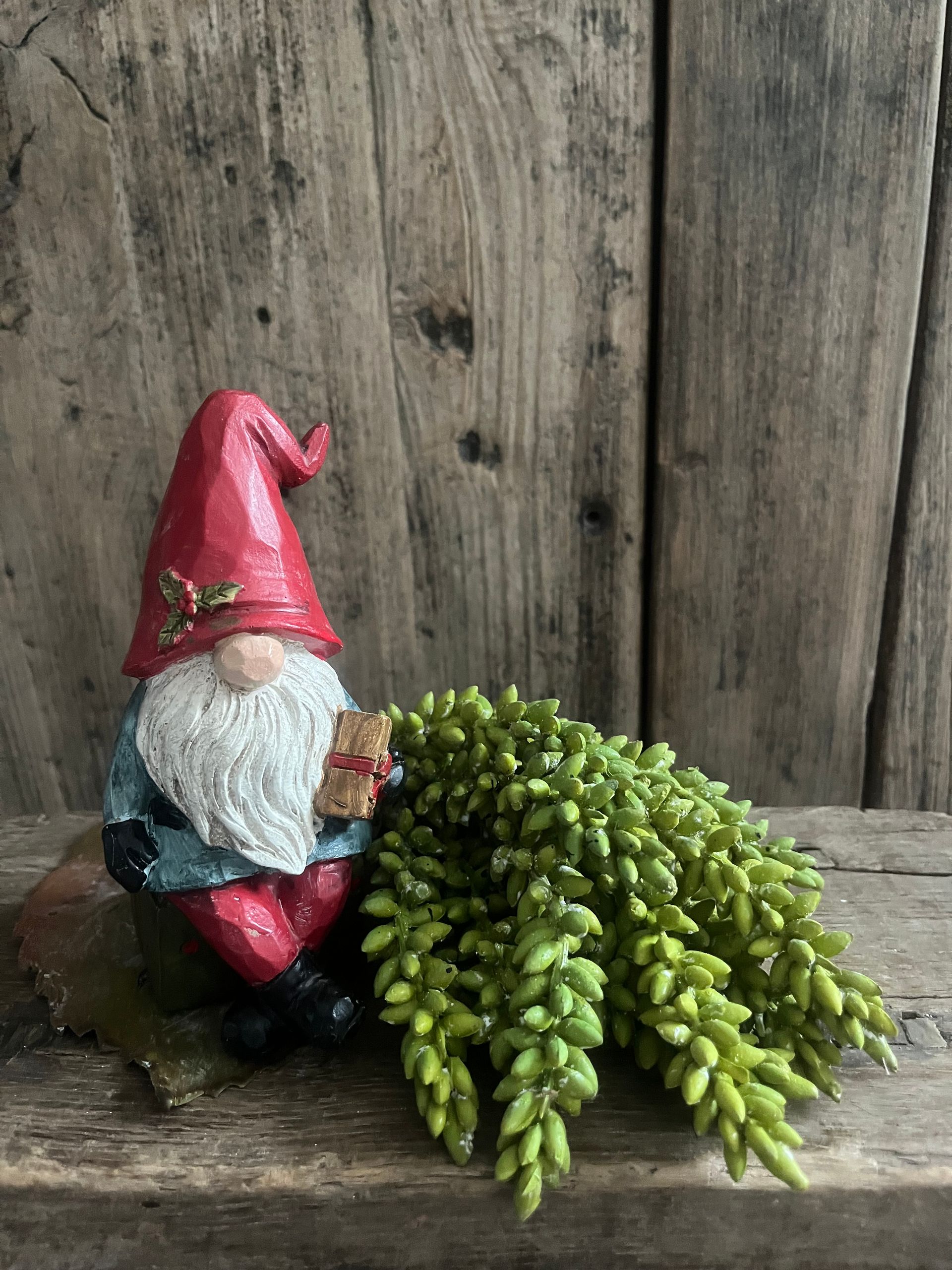 Kabouter met cadeau