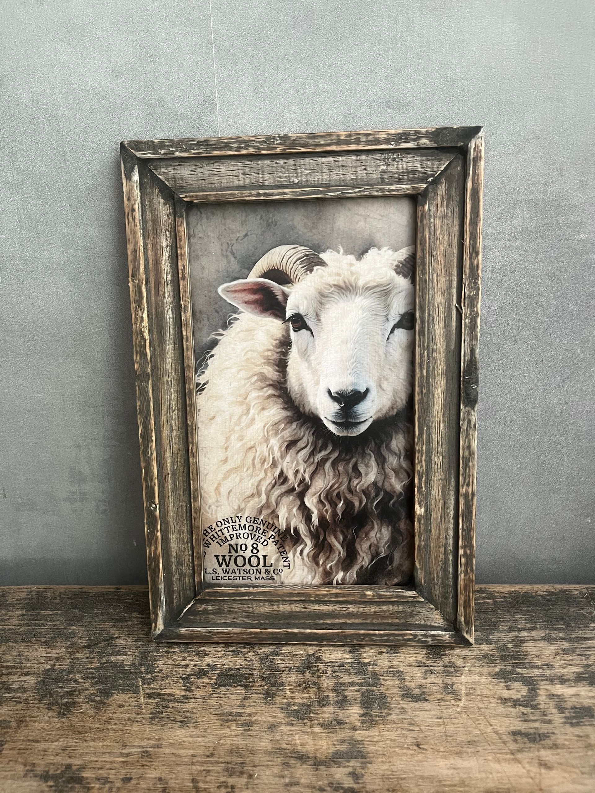 Schilderij schaap
