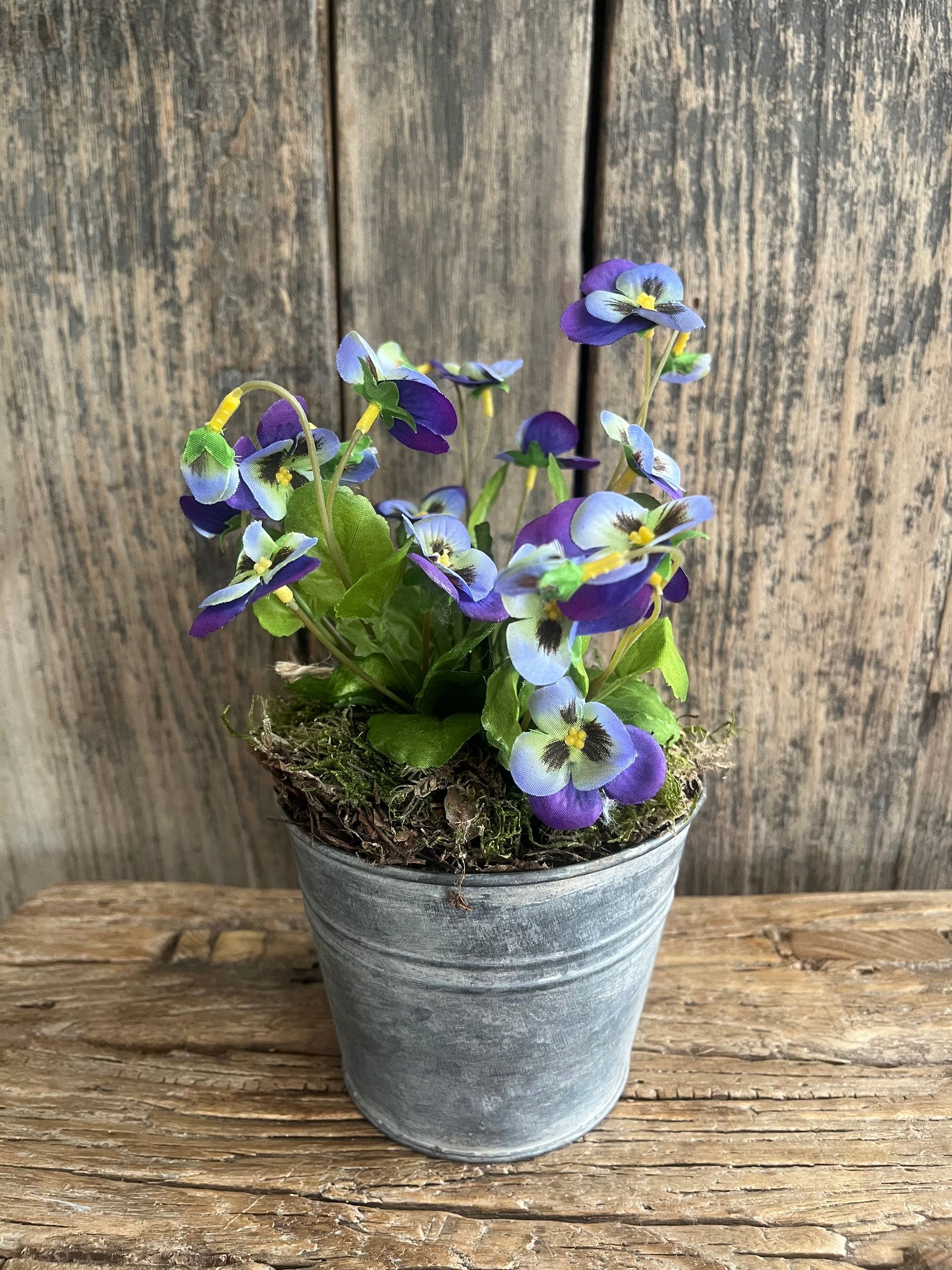 Viooltjes