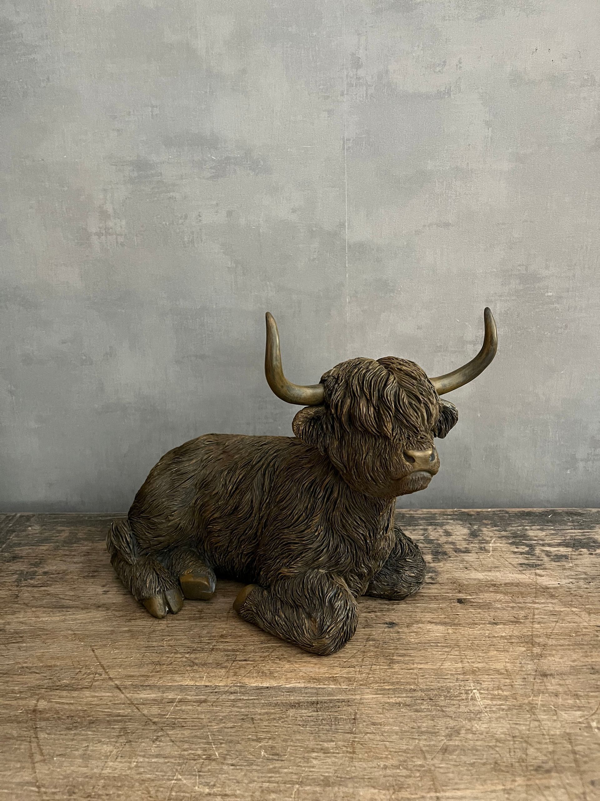 Schotse Hooglander (L) Bruin