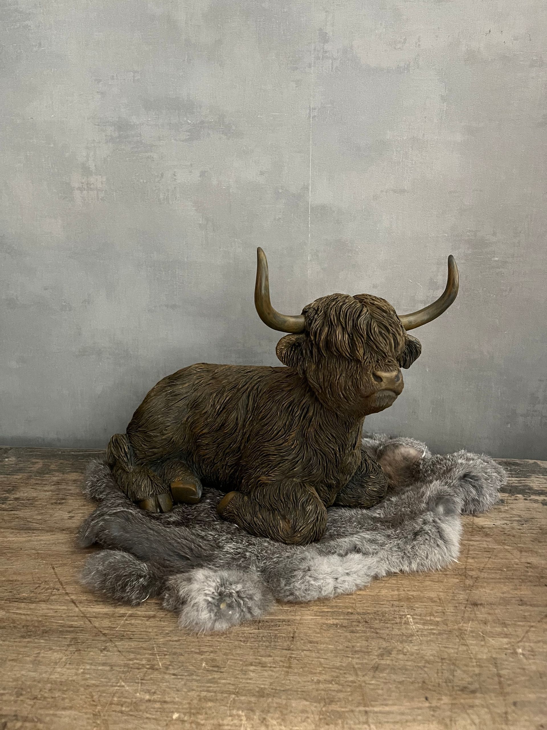 Schotse Hooglander (L) Bruin