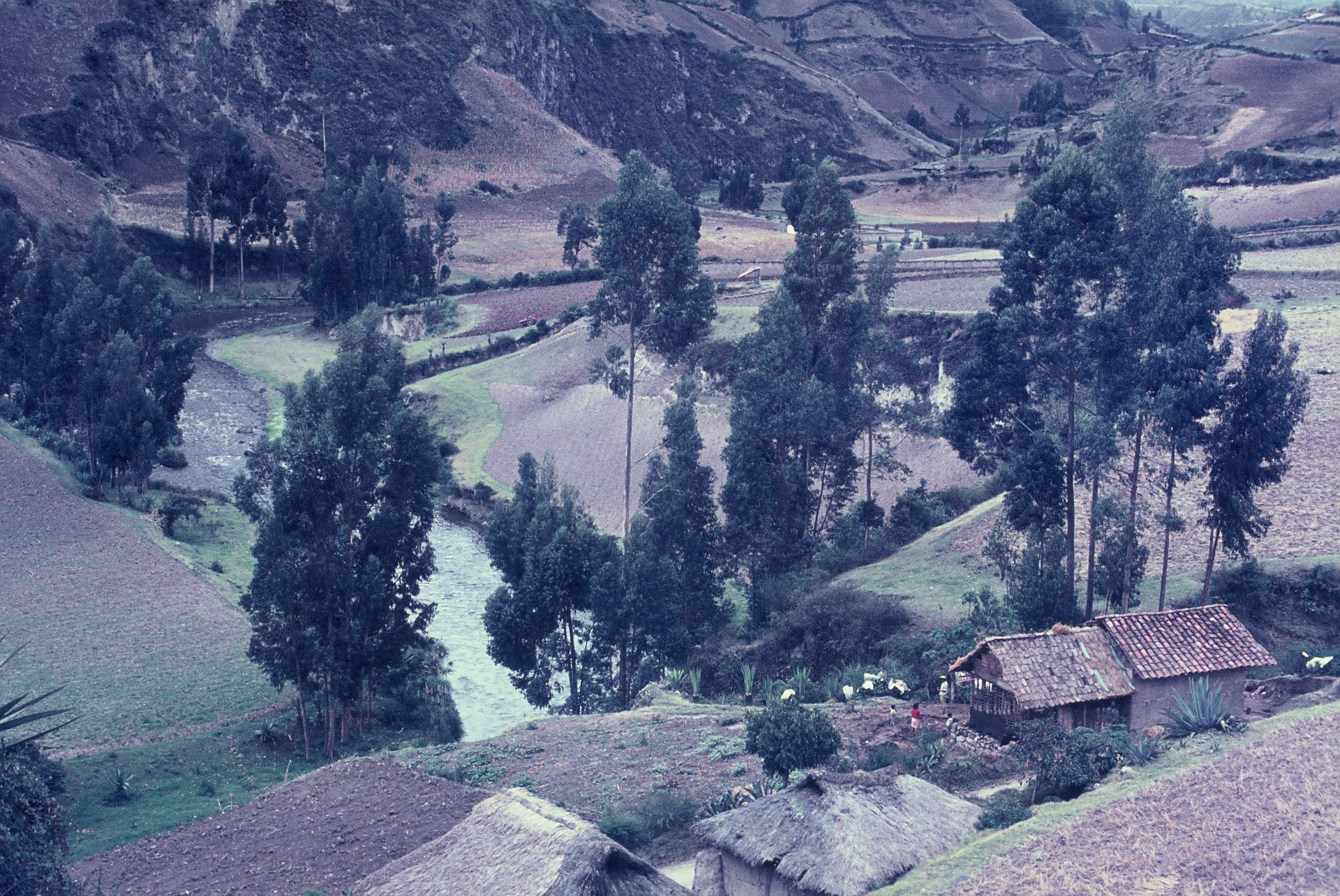 A river flows through a valley surrounded by trees and houses