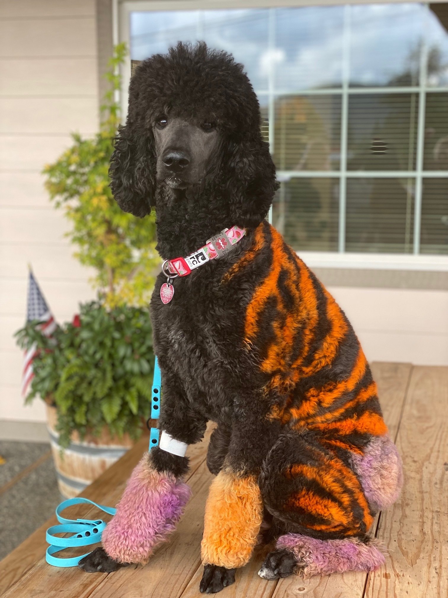 Meet The Team Sedro Woolley, WA Sedro Woolley Veterinary Clinic