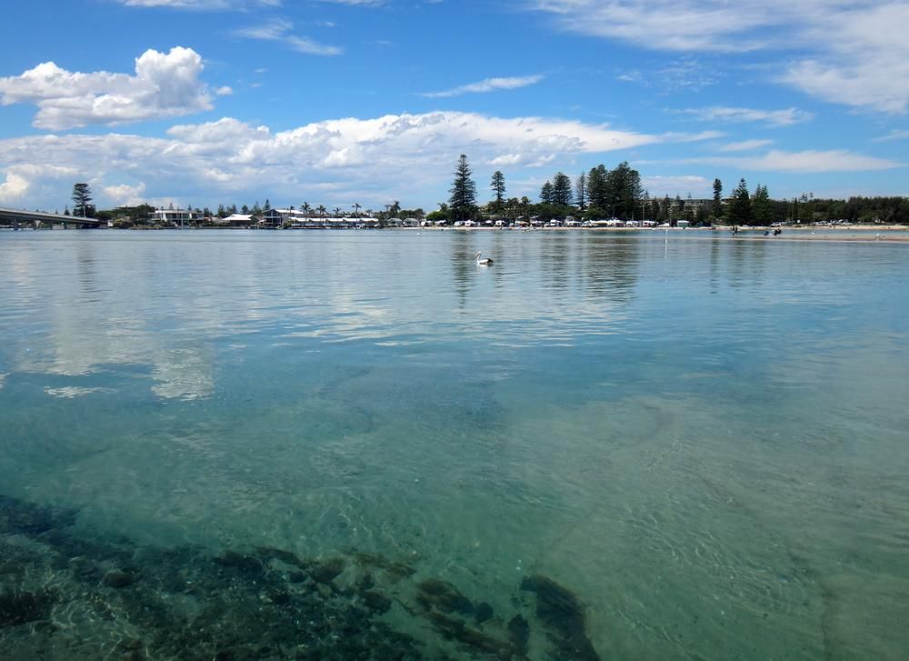 A Large Body of Water With Trees in the Background — Coastal Kerb and Concrete In Woongarrah, NSW