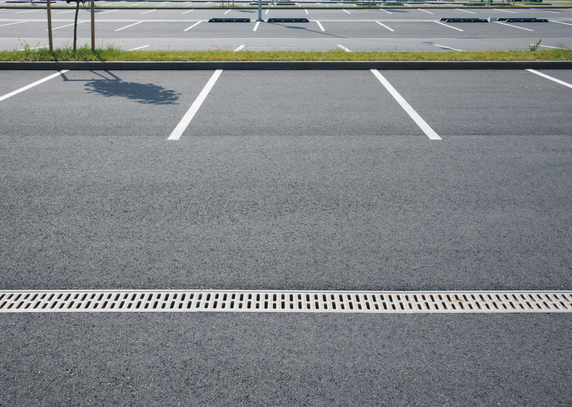 Empty asphalt parking lot with white painted lines and a drainage grate.