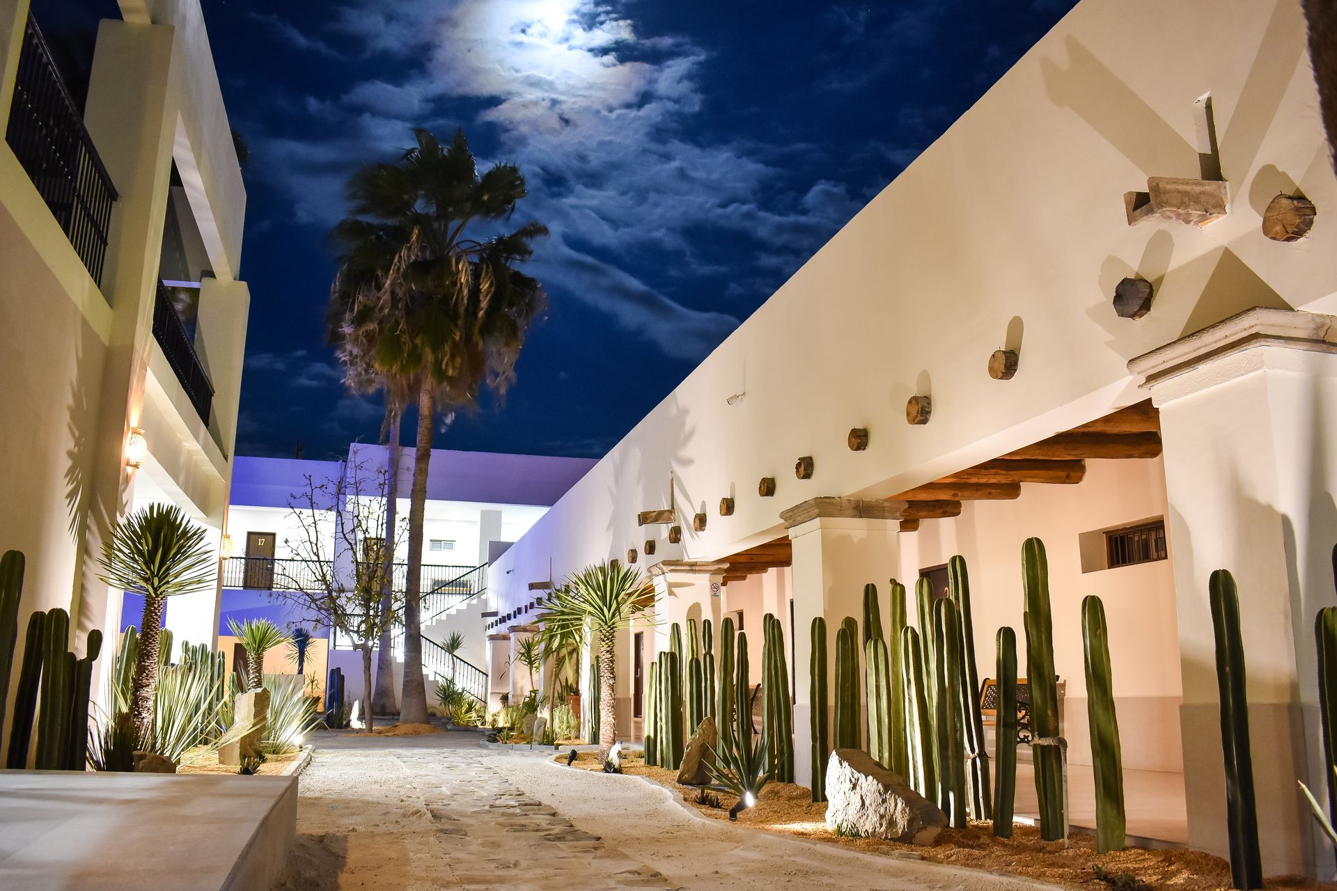 Una hilera de edificios con palmeras y cactus frente a ellos por la noche.