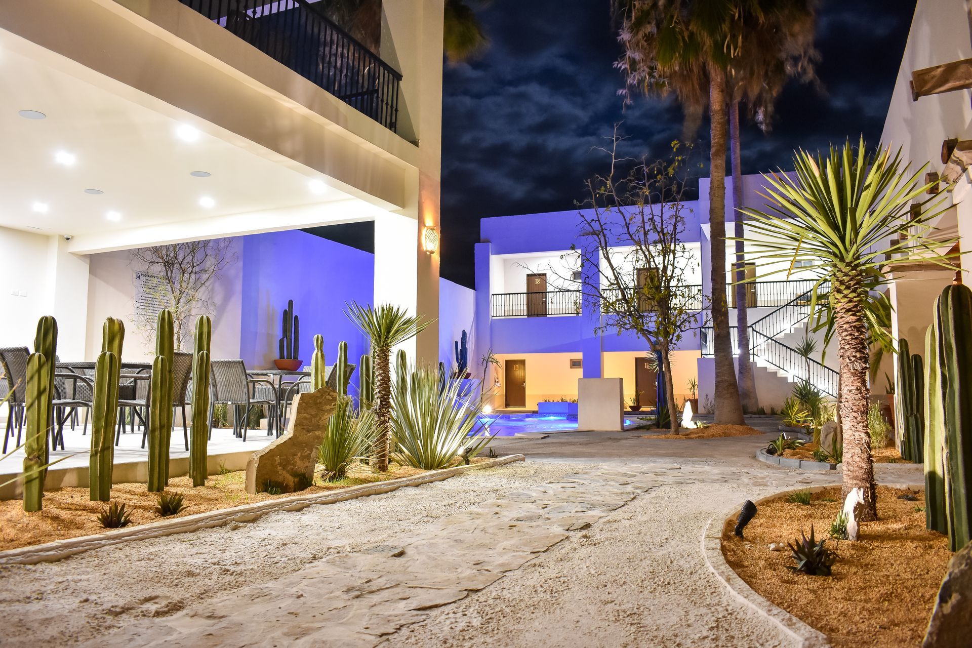 Un gran edificio con muchos cactus frente a él por la noche.